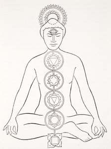 Padmasana ou position du lotus