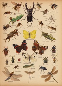 Page du Petit Livre d
