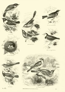 Page du Musée Pictural de la Nature Animée