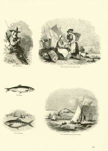 Page du Musée Pictural de la Nature Animée