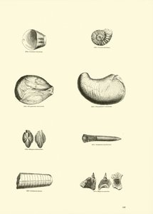 Page du Musée Pictural de la Nature Animée