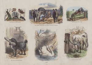Page du Livre d