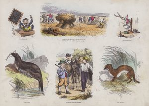 Page du Livre d