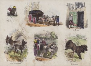 Page du Livre d