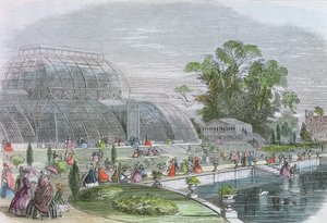 Palm House, Kew (gravure) - English School