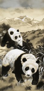 Pandas - English School