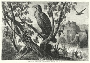 Parabole des aigles et de la vigne, Ézéchiel XVII