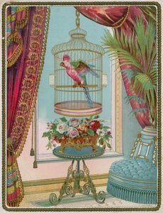 Perroquet en cage dans un intérieur victorien opulent - English School