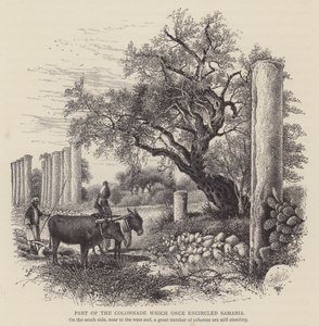 Partie de la colonnade qui entourait autrefois Samarie (gravure) - English School