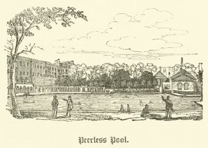 Piscine Peerless - English School