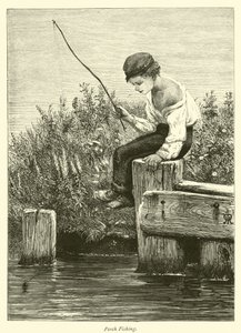 Pêche au brochet - English School