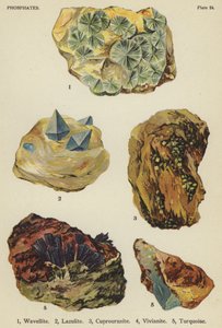 Phosphates, wavellite, lazulite, cuprouranite, vivianite, turquoise - English School