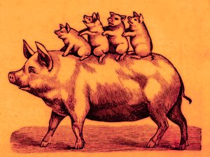 Cochon avec ses porcelets, illustration de Coles Funny Picture Book