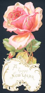 Rose rose, carte de Nouvel An - English School