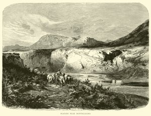 Platani près de Montallegro