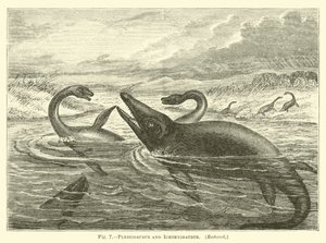 Plésiosaure et Ichthyosaure - English School