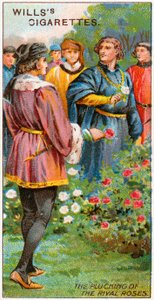 Cueillette des roses rivales