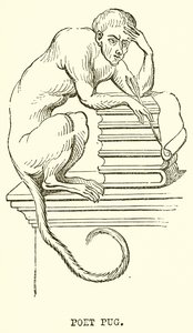 Poète Pug