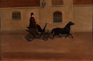 Poney et piège