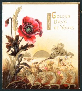 Coquelicot dans un champ à la moisson, carte