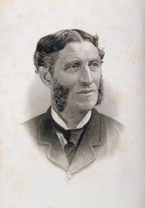 Portrait de Matthew Arnold (1822-88) - English School