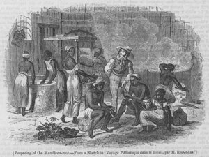 Préparation de la racine de manioc - English School