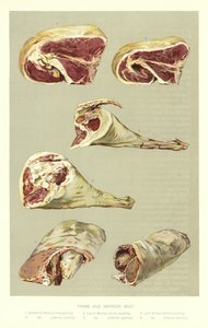 Viande de première et inférieure qualité - English School