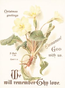 Primevères, Carte de Noël - English School