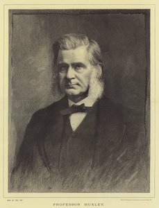 Professeur Huxley - English School