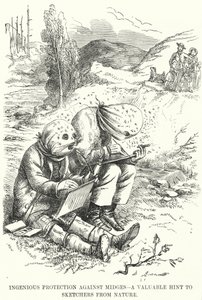 Protection Ingénieuse contre les Moucherons - un Conseil Précieux pour les Dessinateurs de Nature