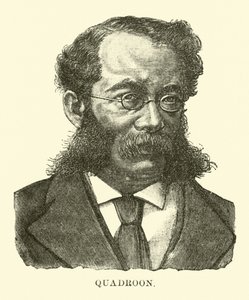 Quadroon