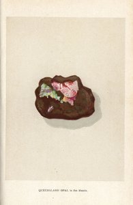 Opale du Queensland dans la matrice, de "Precious Stones and Gems" d