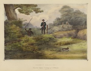 Chasse au lapin - English School