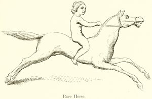 Cheval de course
