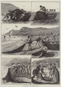 Pêche à la reta sur la côte corse (gravure) - English School