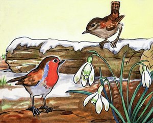 Rouge-gorge et troglodyte mignon - English School