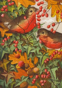 Merles (lithographie couleur)