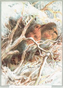 Rouges-gorges sur une branche, Carte de Noël - English School