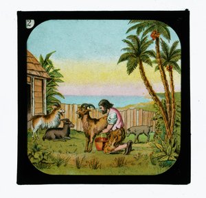Robinson Crusoé - English School