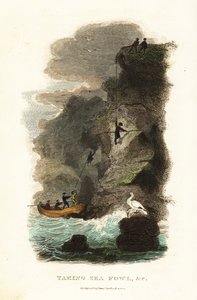Chasseurs de rochers chassant des goélands skuas et des œufs aux îles Féroé - English School