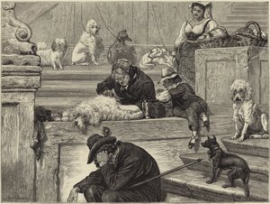 Rome - English School