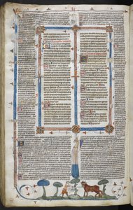Homme attaquant un bœuf, des Décrétales de Smithfield (Décrétales de Grégoire IX) c.1340