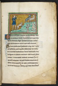 Un chasseur ou fermier avec des chiens, poursuivant des chèvres. Bestiaire (ff. 3-141), Lapidaire (ff. 141v-149) 2e quart du 13e siècle - English School