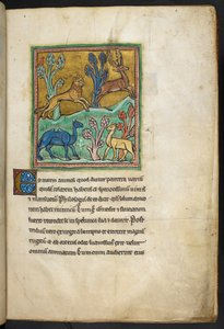 Un léopard chassant un cerf, avec un chameau et un autre animal - English School