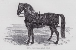 Cheval de carrosse royal hanovrien (gravure) - English School