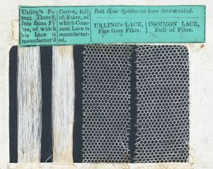 Échantillons de dentelle Urlings (textile) - English School