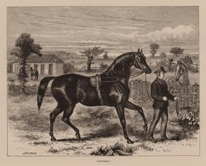 "Saunterer" (gravure) - English School
