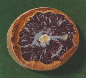 Galet de bord de mer