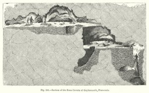 Section de la caverne osseuse de Gaylenreuth, Franconie