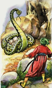 Serpent protégeant ses œufs